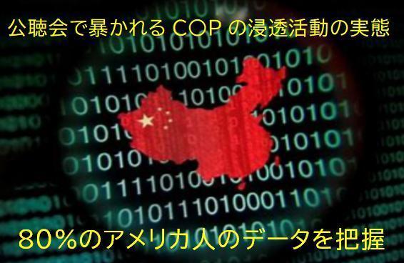 00000 C〇Pの浸透活動実態.jpg