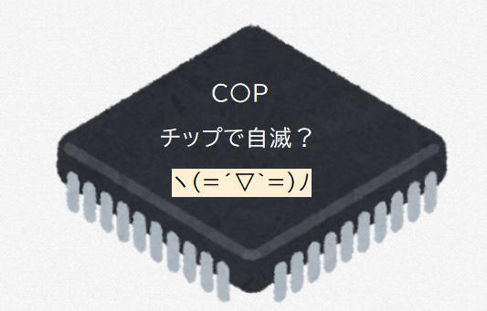 00000チップ.jpg