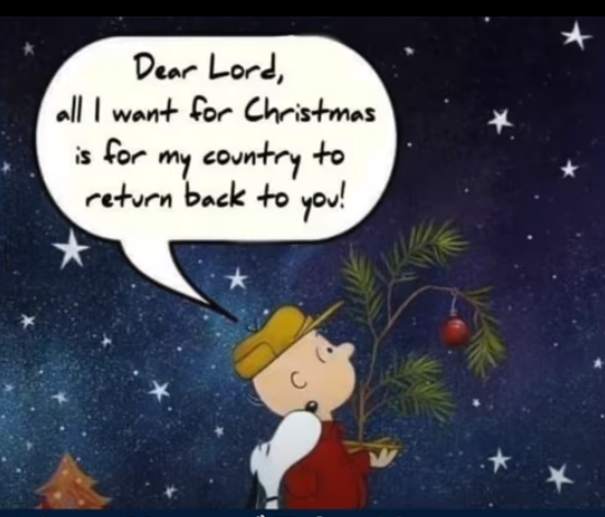 0000 クリスマスの唯一の願い.png